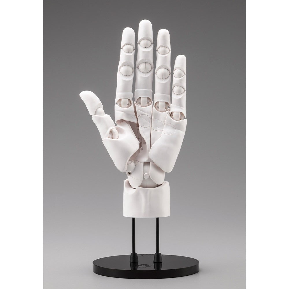 【予約安心出荷】[FIG] (再販) ARTIST SUPPORT ITEM ハンドモデル/L -WHITE- 1/1 完成品 可動フィギュア(AT036) コトブキヤ(2026年9月)
