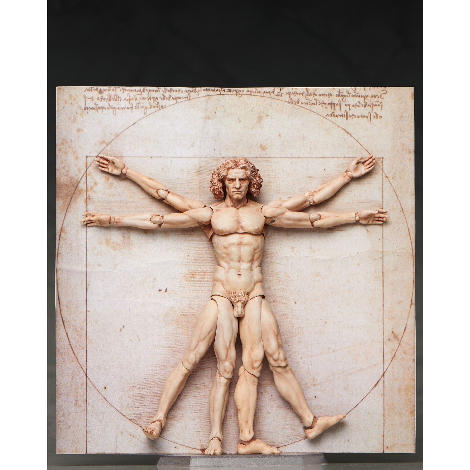 【予約安心出荷】[FIG] (再々販) figma(フィグマ) SP-075 ウィトルウィウス的人体図 テーブル美術館 完成品 可動フィギュア FREEing(フリーイング)(2027年2月)