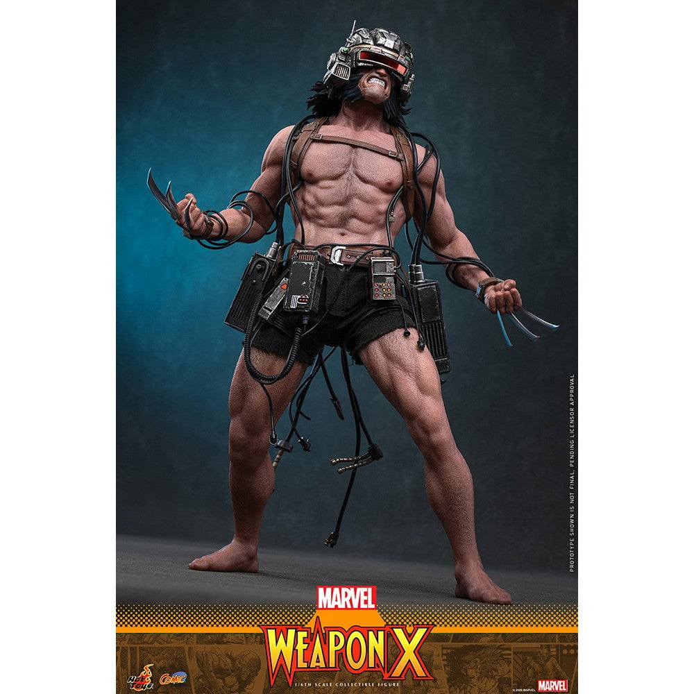 【予約安心出荷】[FIG] コミック・マスターピース ウェポンX マーベル・コミック 1/6 完成品 可動フィギュア(CM#034) ホットトイズ(2027年9月)