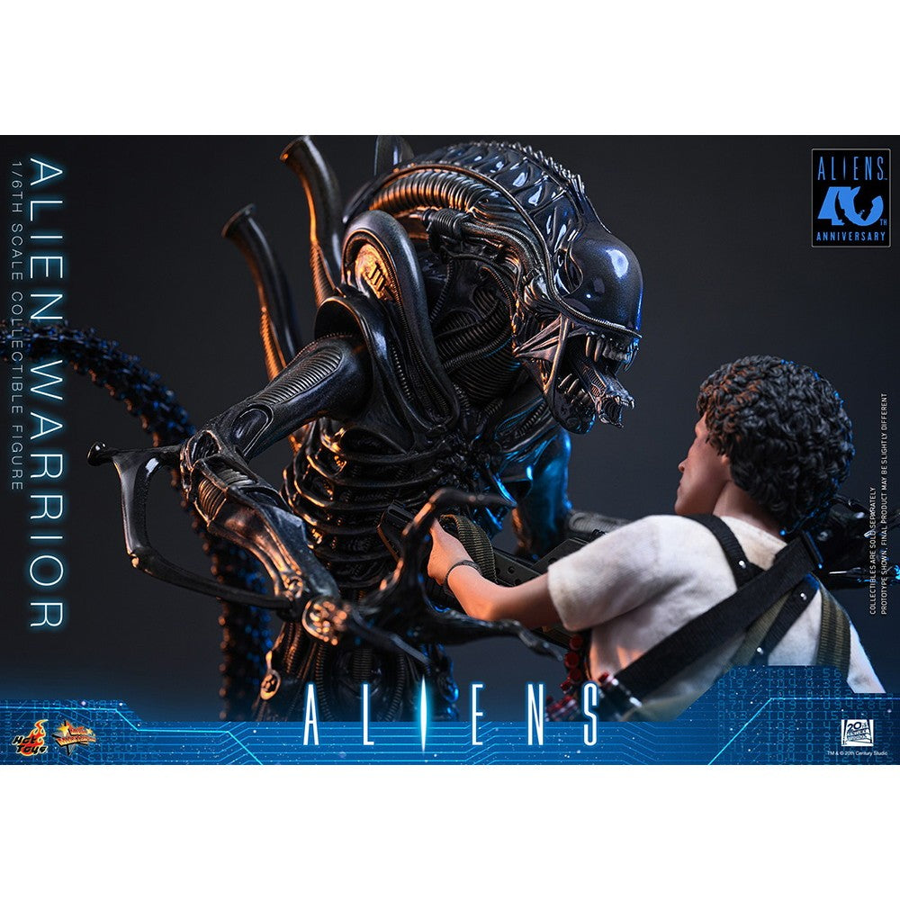 【予約安心出荷】[FIG] ムービー・マスターピース エイリアン・ウォーリアー(2.0版) エイリアン2 1/6 完成品 可動フィギュア(MM#898) ホットトイズ(2027年9月)