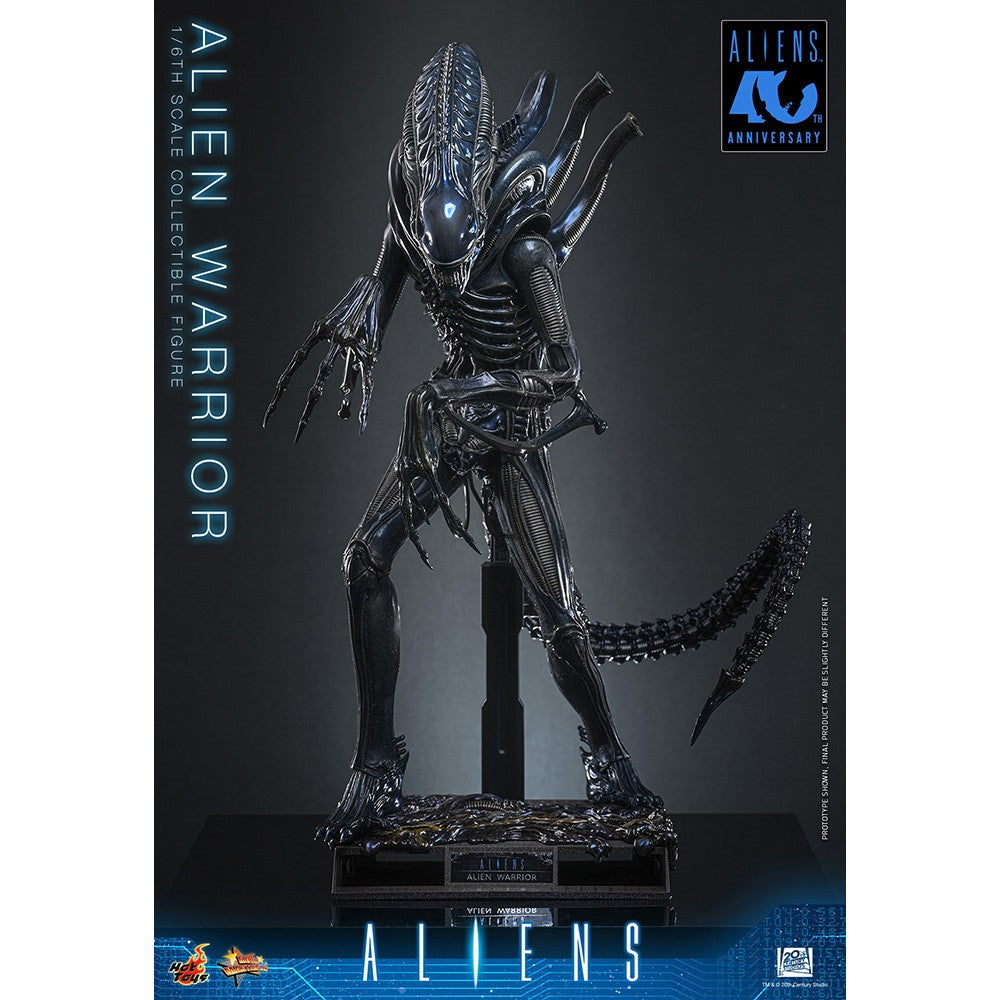 【予約安心出荷】[FIG] ムービー・マスターピース エイリアン・ウォーリアー(2.0版) エイリアン2 1/6 完成品 可動フィギュア(MM#898) ホットトイズ(2027年9月)