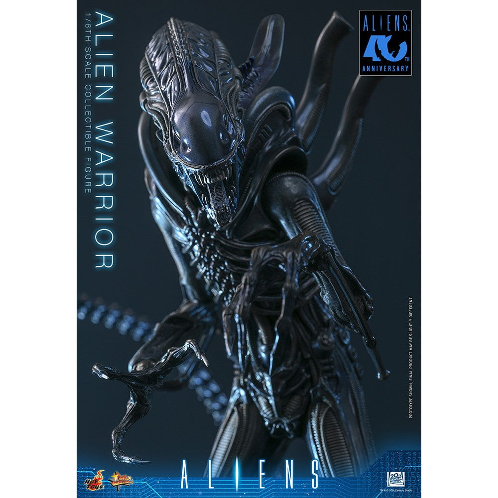 【予約安心出荷】[FIG] ムービー・マスターピース エイリアン・ウォーリアー(2.0版) エイリアン2 1/6 完成品 可動フィギュア(MM#898) ホットトイズ(2027年9月)