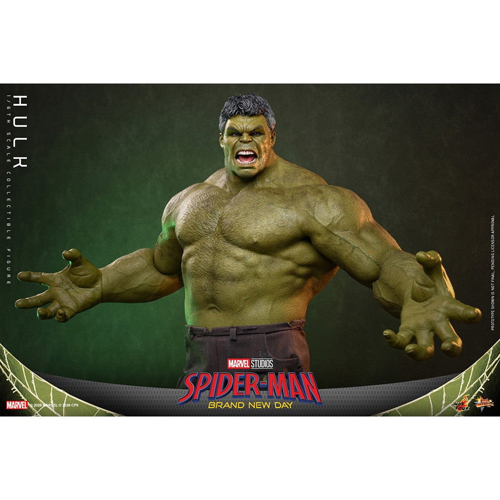 【予約安心出荷】[FIG] ムービー・マスターピース ハルク スパイダーマン:ブランド・ニュー・デイ 1/6 完成品 可動フィギュア(MM#905) ホットトイズ(2027年10月)