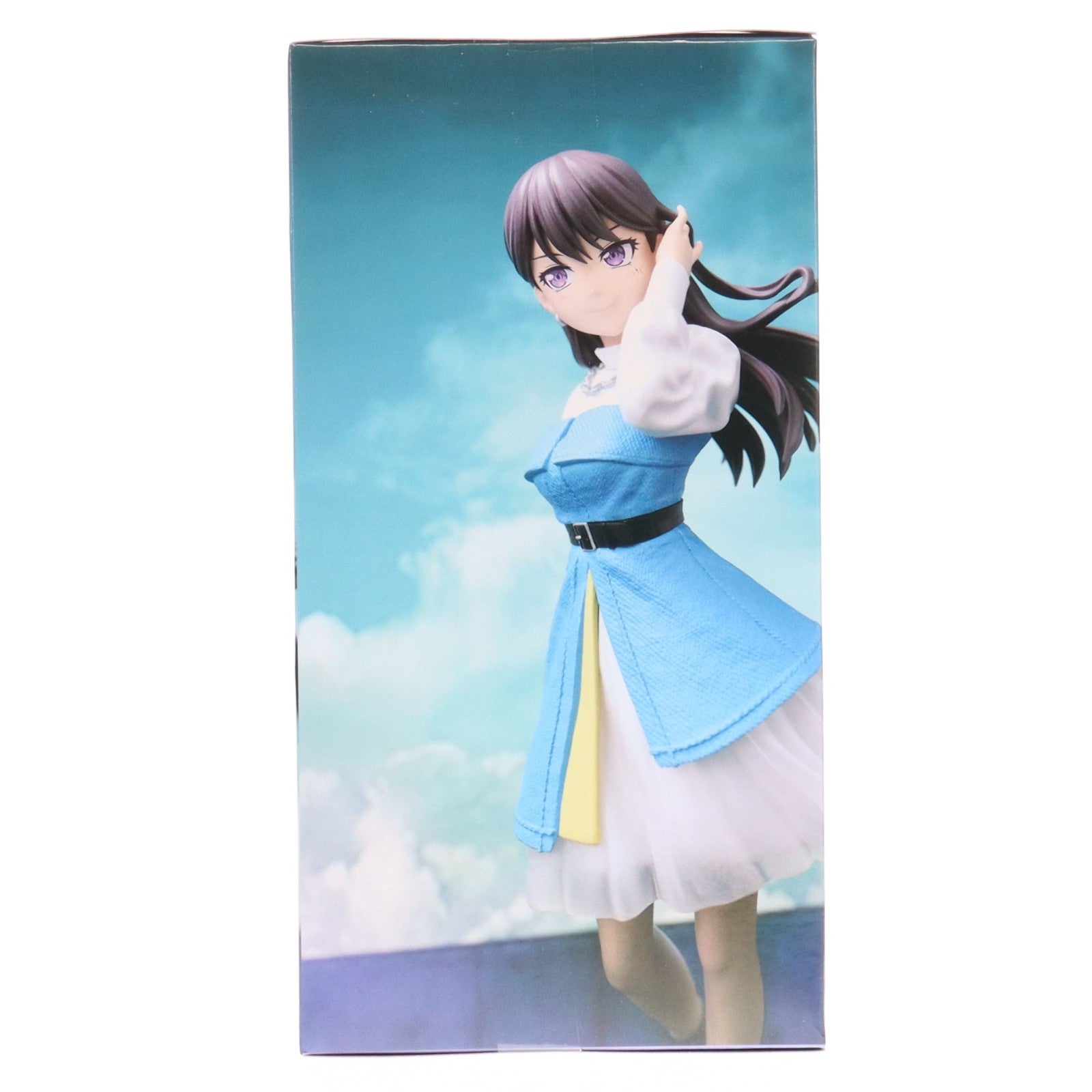 【中古即納】[FIG] 椎名立希(しいなたき) BanG Dream! It's MyGO!!!!! プレミアムフィギュア MyGO!!!!! プライズ(BCR000529PZ) ブシロードクリエイティブ(20251121)