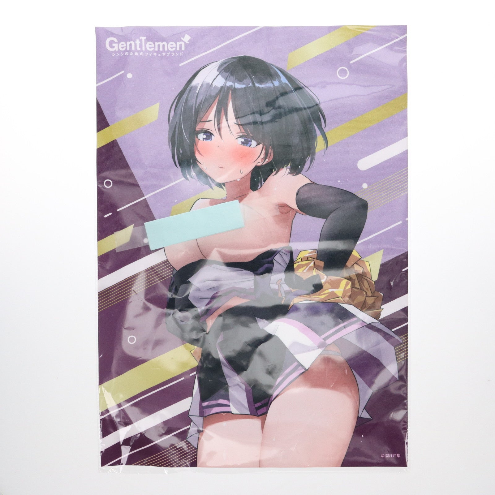【中古即納】[FIG] FANZA限定版特典付属 下を忘れたので下着のままチアする子 Illustration by 開栓注意 1/6 完成品 フィギュア ジェントルメン(20240229)