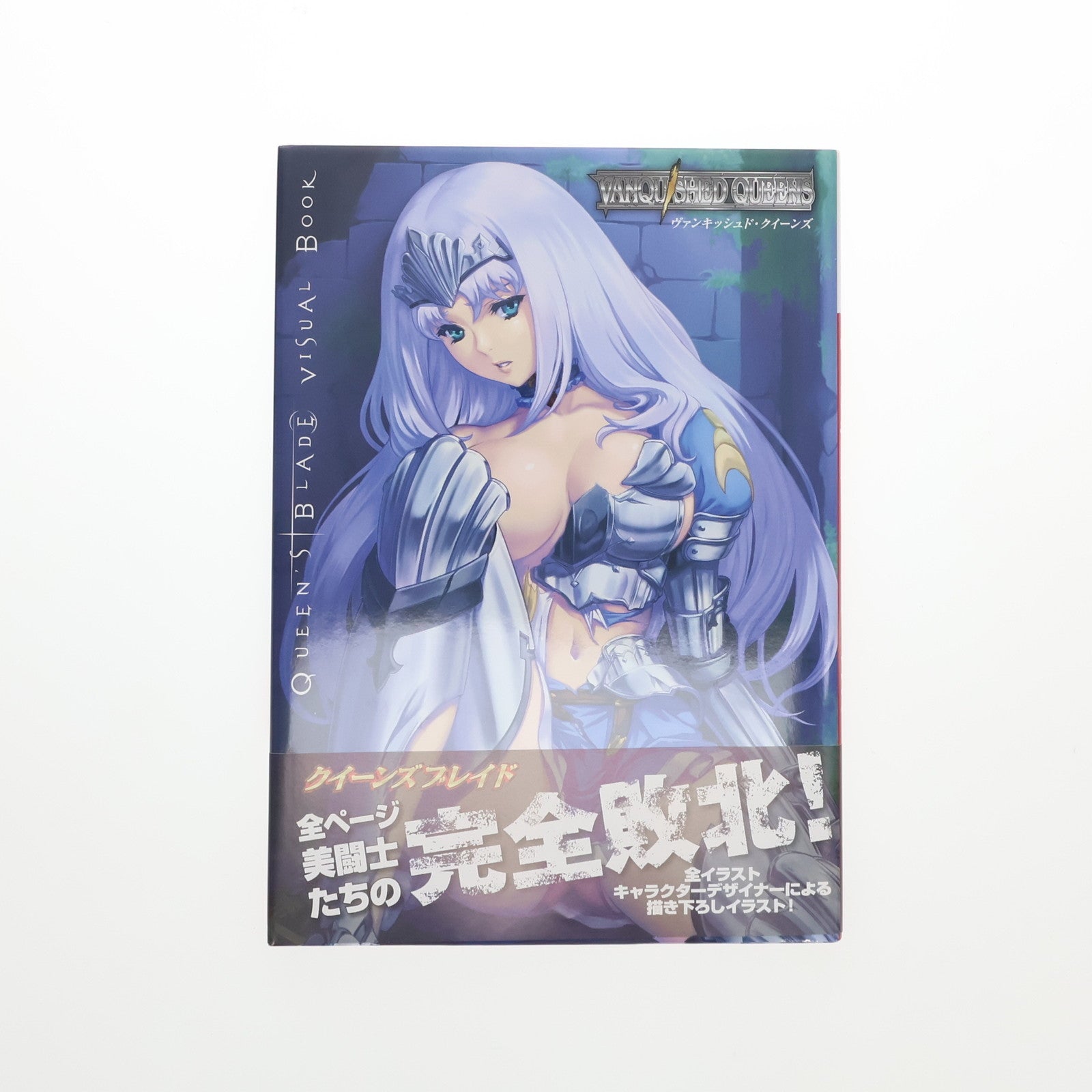 【中古即納】[FIG] ヴァンキッシュド・クイーンズ 数量限定生産版(リボルテック アンネロッテ付属) クイーンズブレイド 完成品 可動フィギュア 書籍 ホビージャパン(20110831)