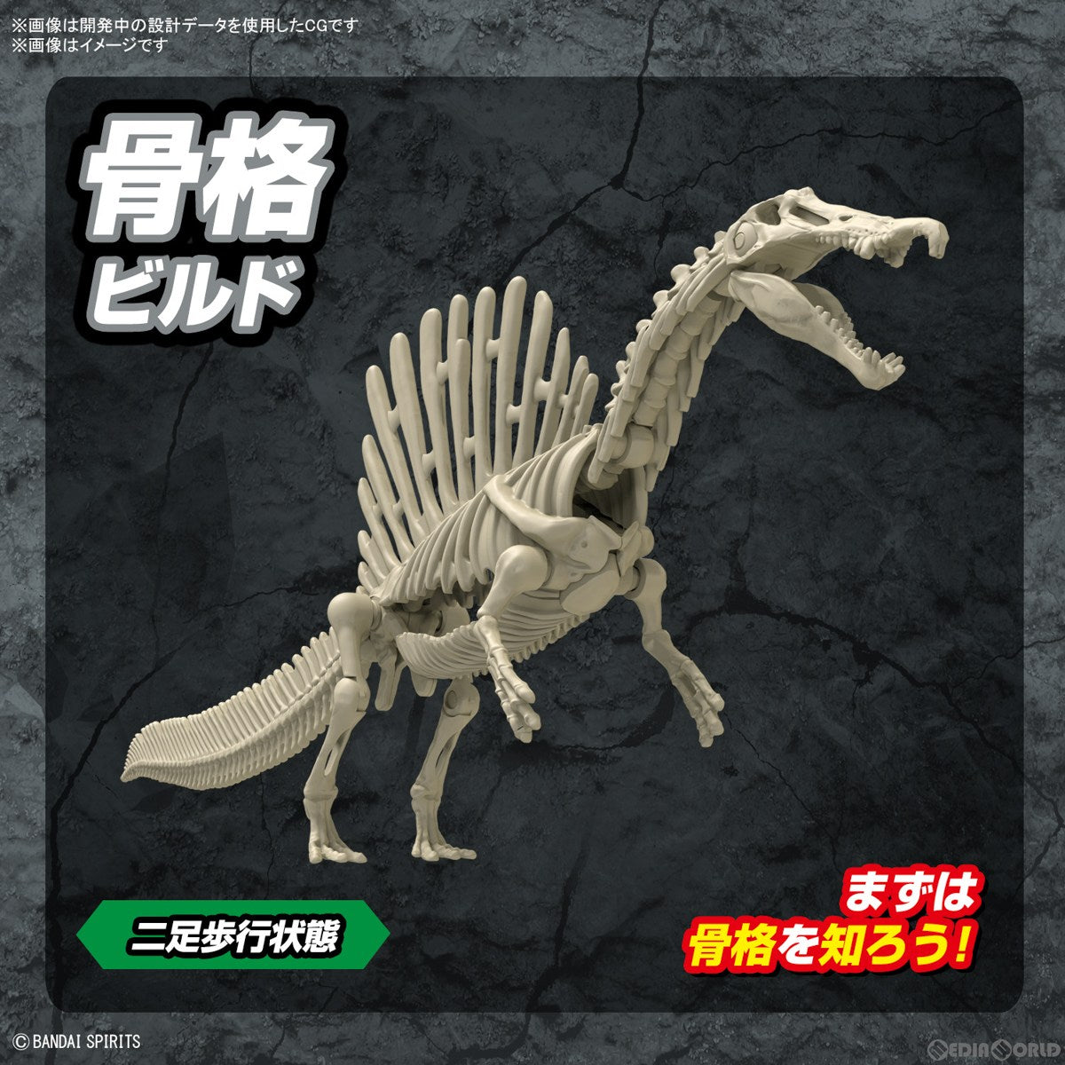【新品即納】[PTM] (再販) プラノサウルスシリーズ No.5 スピノサウルス プラモデル(5065427) バンダイスピリッツ(20250131)
