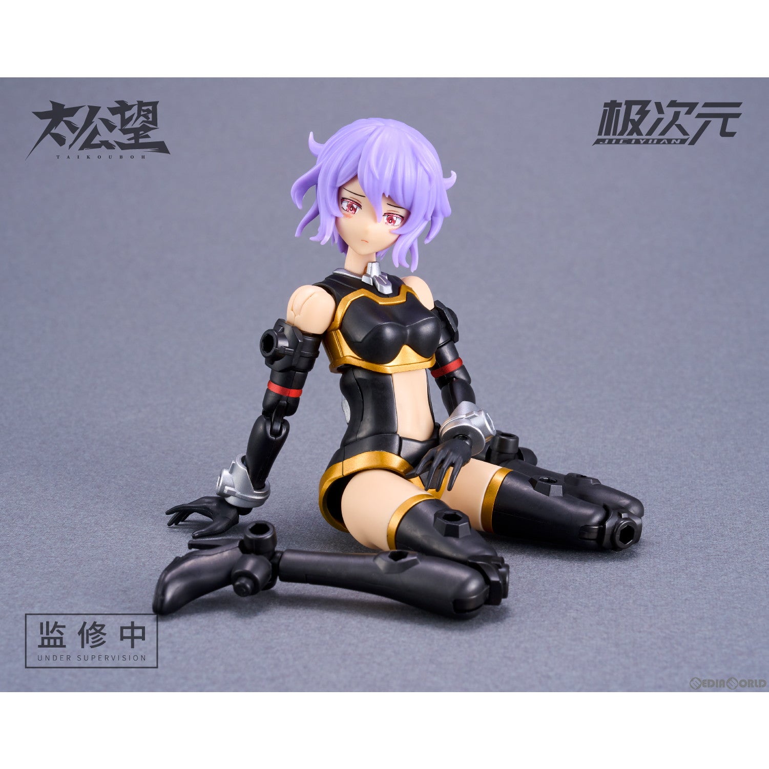【予約安心出荷】[PTM] 太公望 1/10 TKB-02 黒麒×雷神将(こくき らいじんしょう) プラモデル MS GENERAL(将魂姫)(発売中止)
