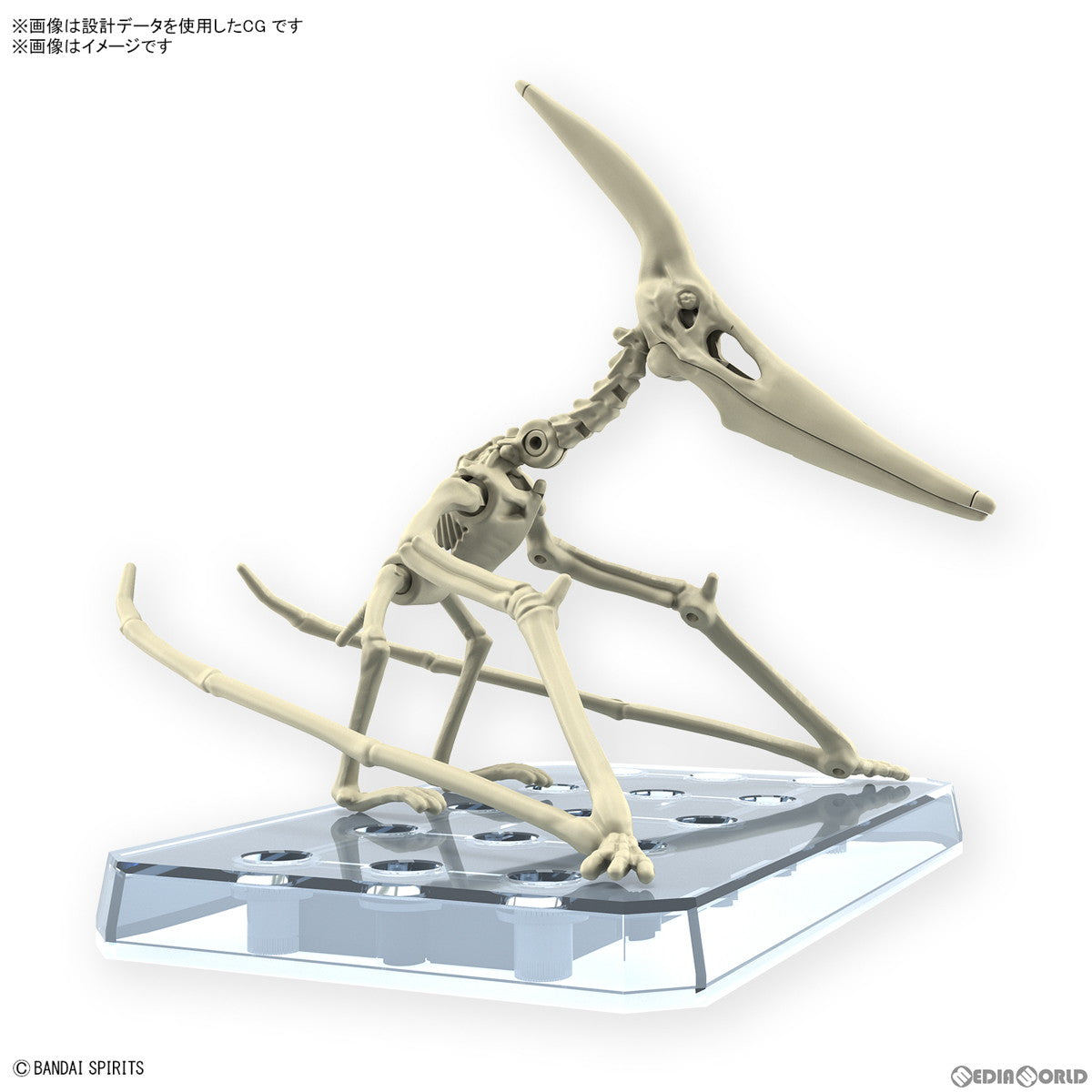 【中古即納】[PTM] プラノサウルスシリーズ No.07 プテラノドン プラモデル(5066282) バンダイスピリッツ(20250312)
