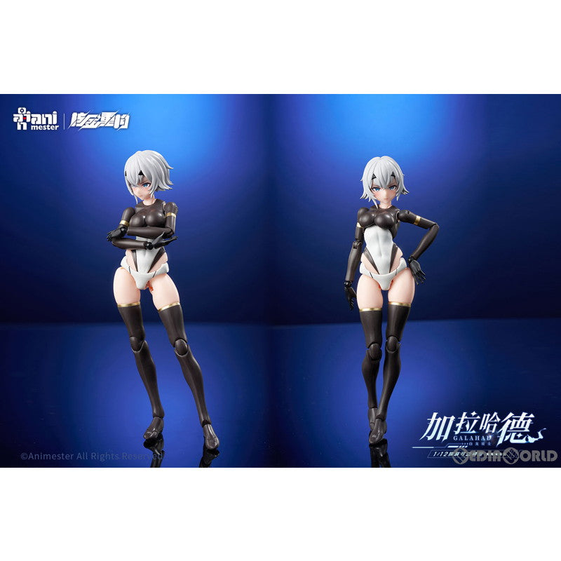 【中古即納】[PTM] 1/12 白龍騎士 GALAHAD(ガラハド) 初回限定版 プラモデル 核金重構(NUCLEAR GOLD RECONSTRUCTION)/童友社(20240630)