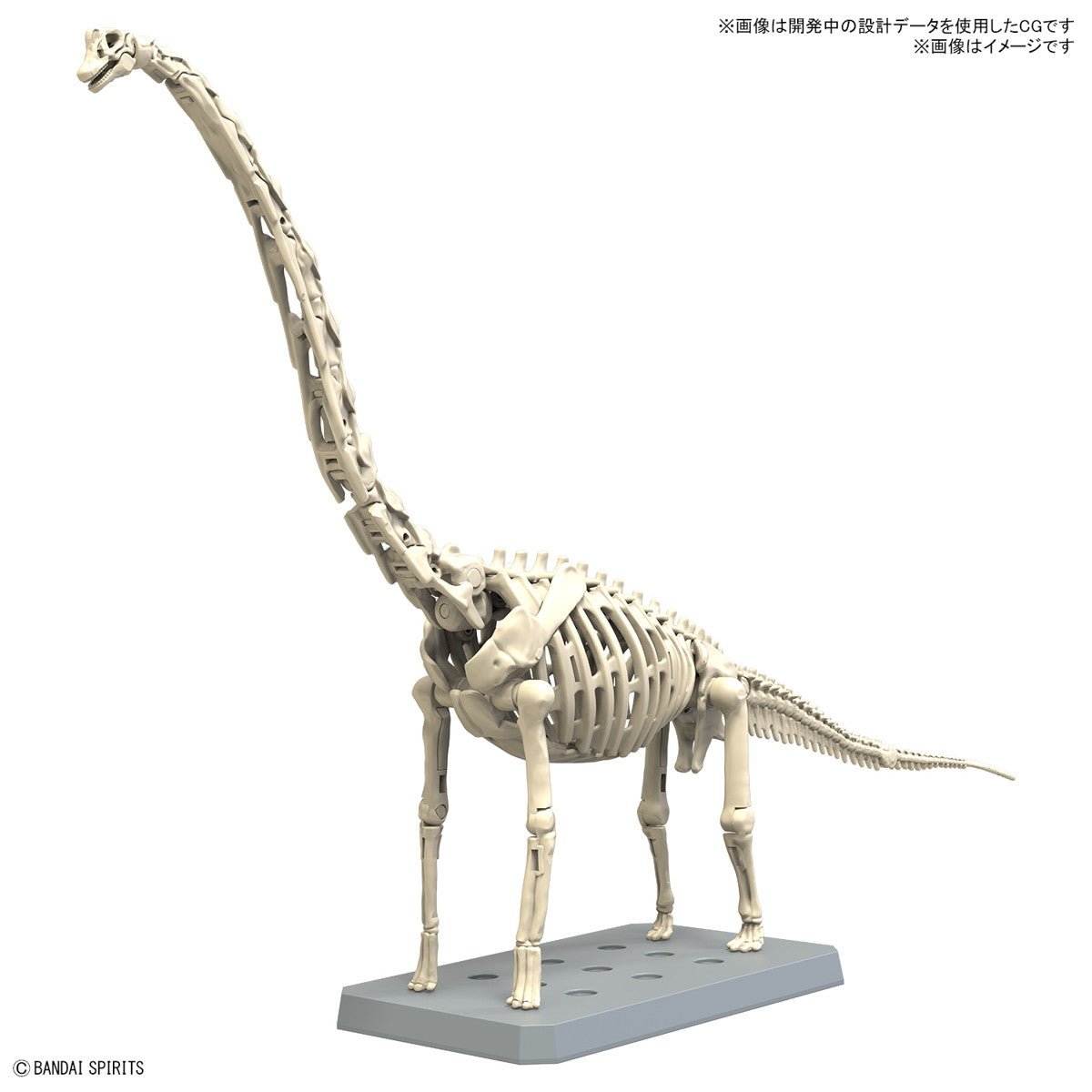 【予約安心出荷】[PTM] (再販) プラノサウルス ブラキオサウルス プラモデル(5067427) バンダイスピリッツ(2026年6月)