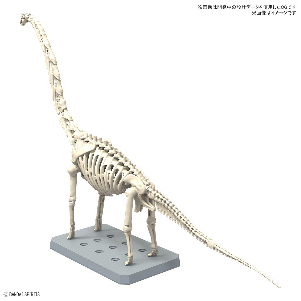 【予約安心出荷】[PTM] (再販) プラノサウルス ブラキオサウルス プラモデル(5067427) バンダイスピリッツ(2026年6月)