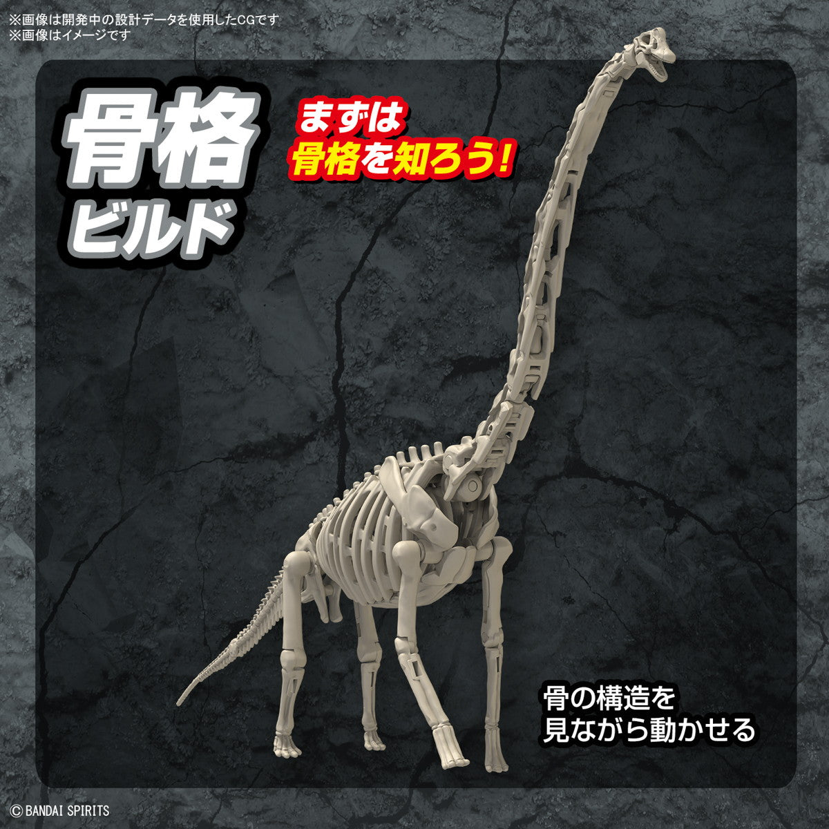 【予約安心出荷】[PTM] (再販) プラノサウルス ブラキオサウルス プラモデル(5067427) バンダイスピリッツ(2026年6月)