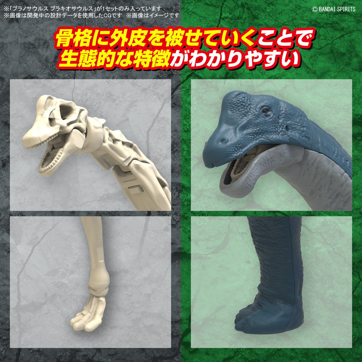 【予約安心出荷】[PTM] (再販) プラノサウルス ブラキオサウルス プラモデル(5067427) バンダイスピリッツ(2026年6月)
