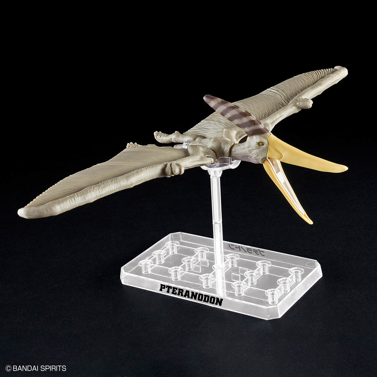 【新品即納】[PTM] プラノサウルス 陸海空恐竜セット プラモデル(5067458) バンダイスピリッツ(20241116)