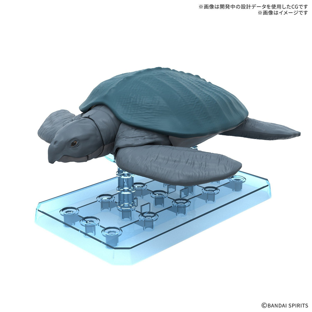 【新品】【お取り寄せ】[PTM] プラノサウルス ガチコセイブツ部 アーケロン プラモデル(2836616) バンダイスピリッツ(20260905)
