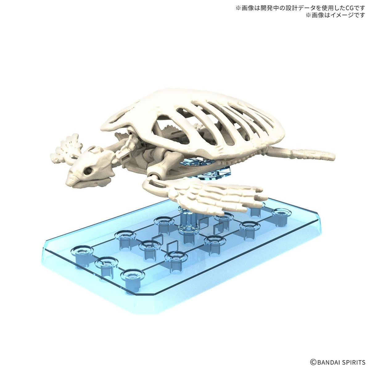 【新品】【お取り寄せ】[PTM] プラノサウルス ガチコセイブツ部 アーケロン プラモデル(2836616) バンダイスピリッツ(20260905)