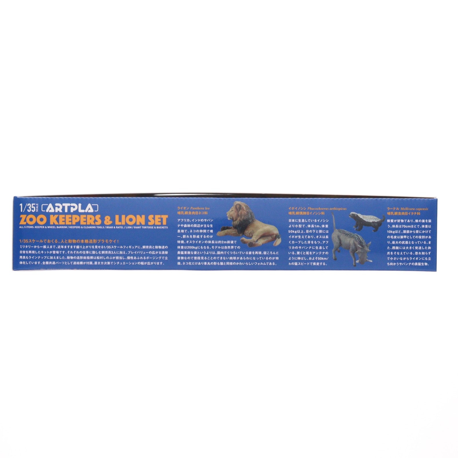 【中古即納】[PTM] (BOX) ARTPLA 1/35 飼育員とライオンセット プラモデル(AP003B)(6個) 海洋堂(20220922)