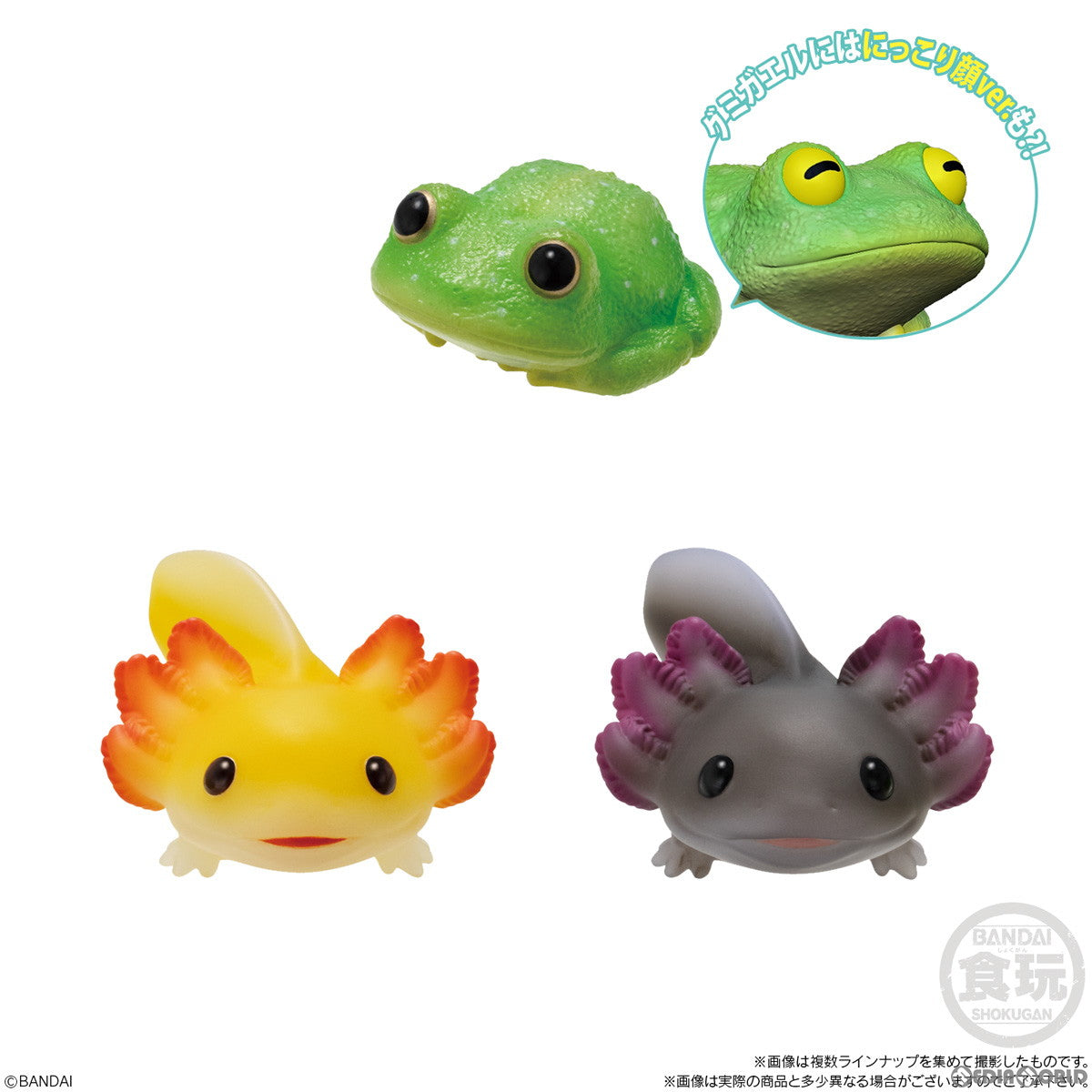 【新品即納】[SFT] (BOX) (食玩) てのりフレンズ11 -爬虫類・両生類- ソフビフィギュア(12個) バンダイ(20240819)