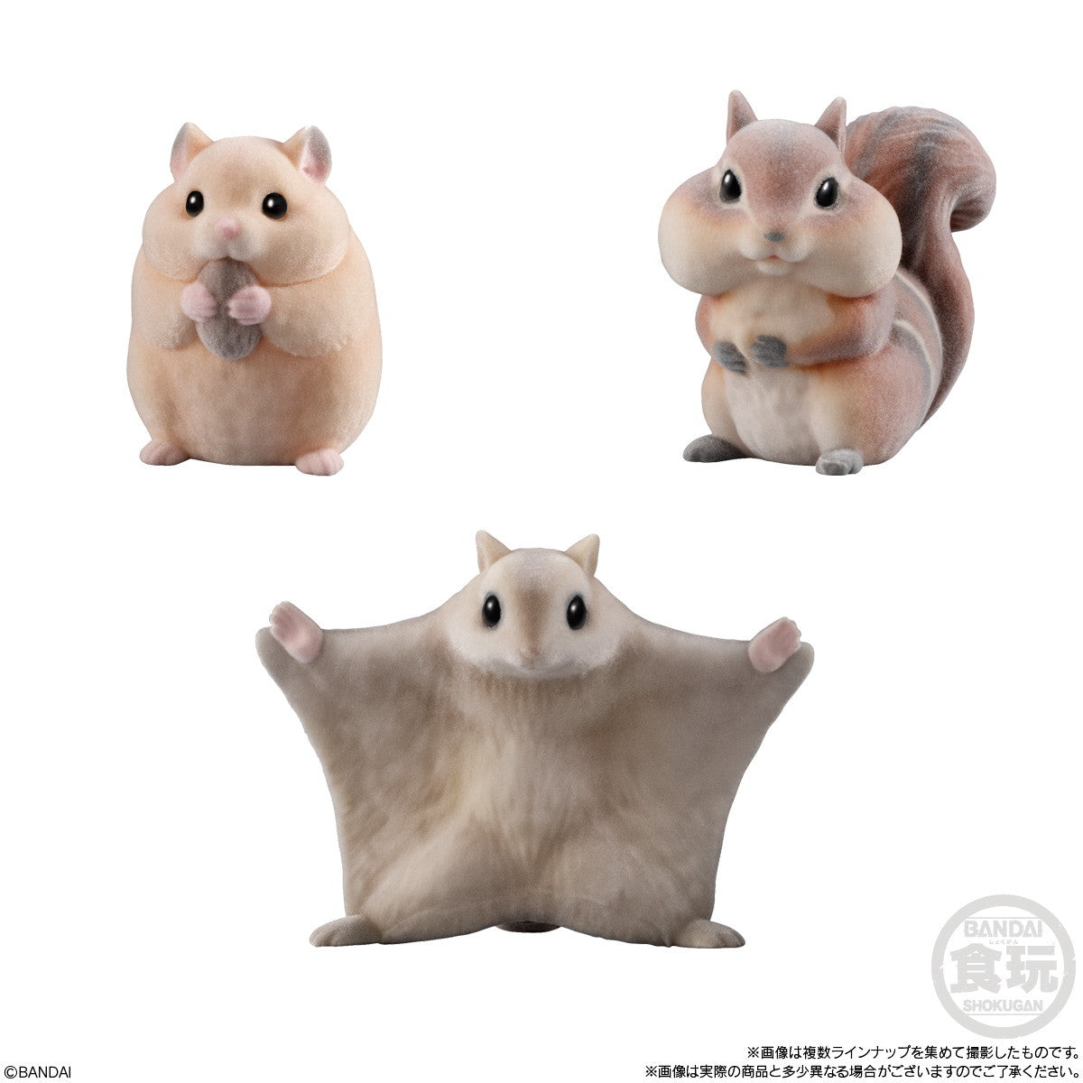 【新品即納】[SFT] (BOX) (食玩) もふもふ・てのりフレンズ2 -小動物- ソフビフィギュア(12個) バンダイ(20241104)