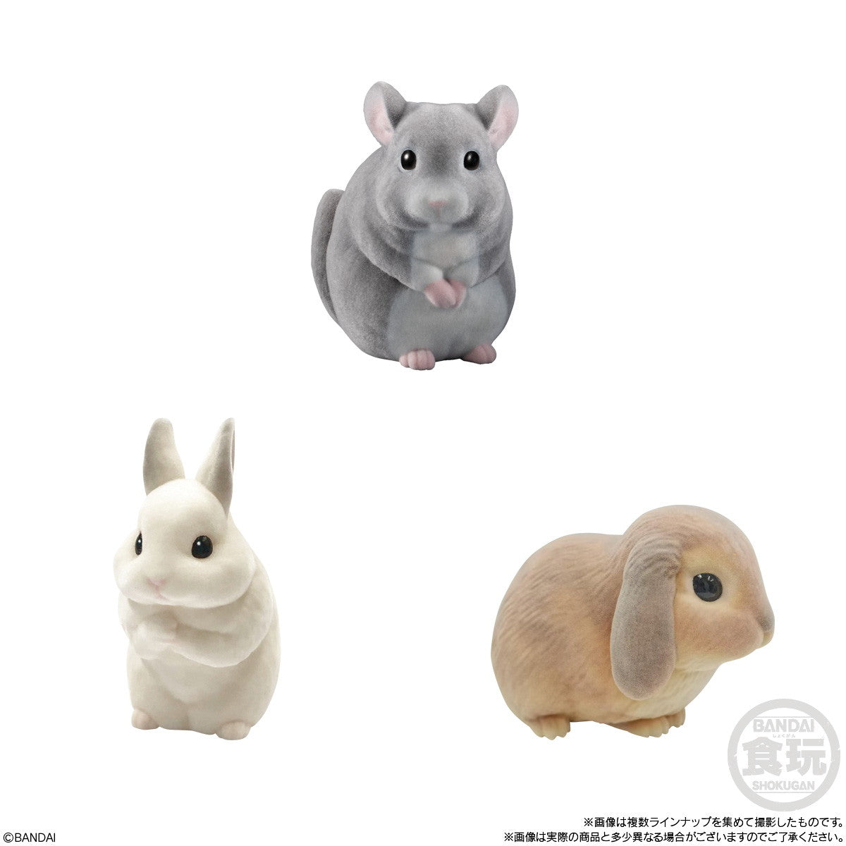 【新品即納】[SFT] (BOX) (食玩) もふもふ・てのりフレンズ2 -小動物- ソフビフィギュア(12個) バンダイ(20241104)