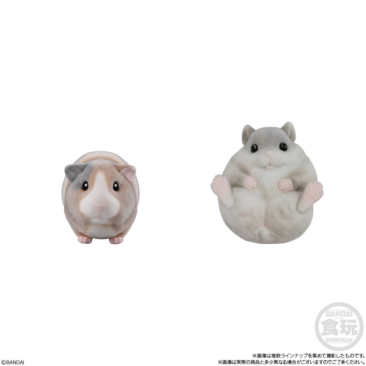 【新品即納】[SFT] (BOX) (食玩) もふもふ・てのりフレンズ2 -小動物- ソフビフィギュア(12個) バンダイ(20241104)