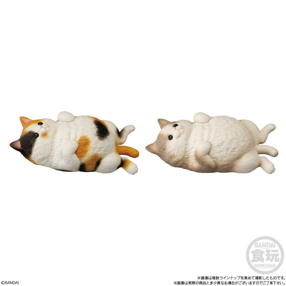 【新品即納】[SFT] (BOX)(食玩) もっちりころりん♪ ねこ ソフビフィギュア(12個) バンダイ(20250217)