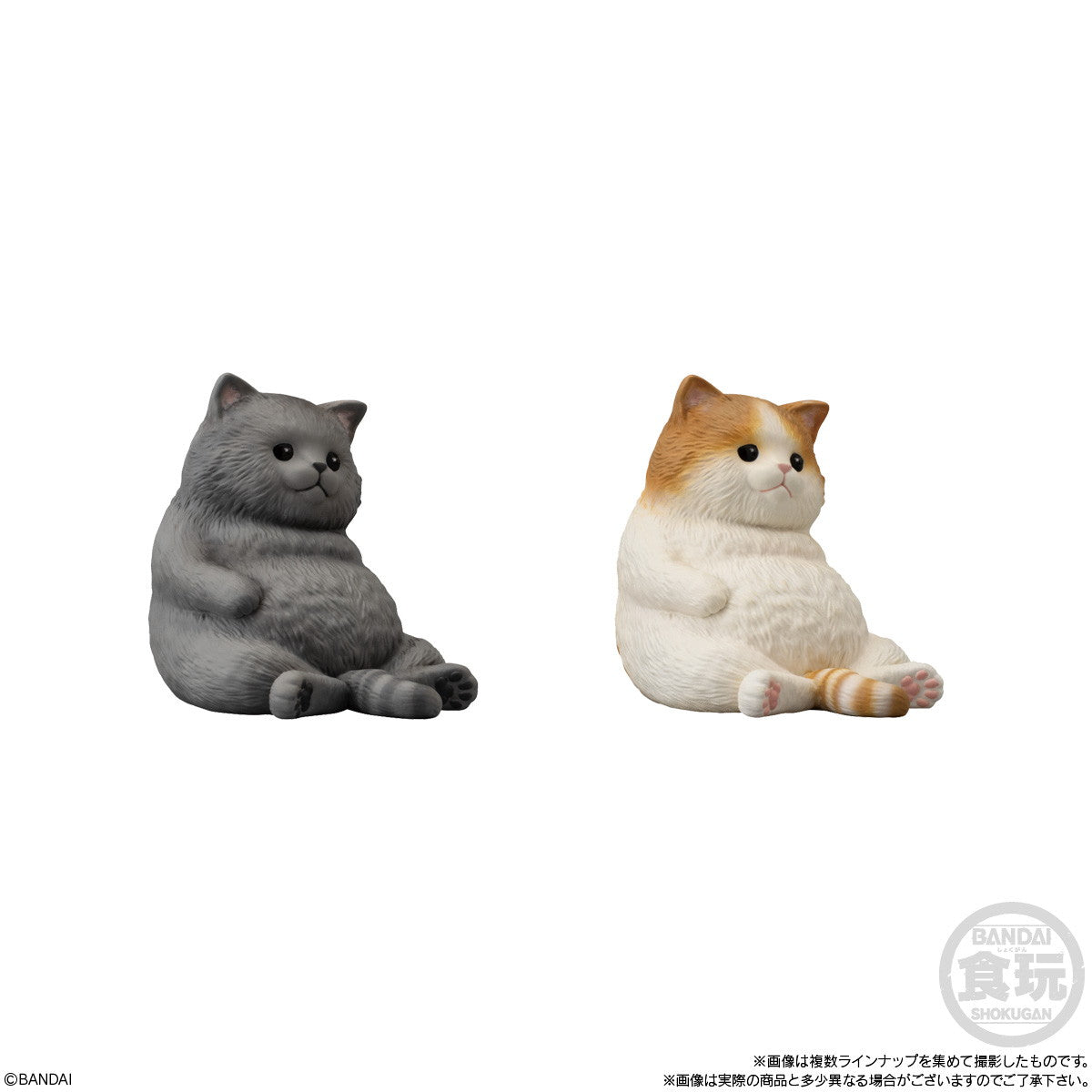 【新品即納】[SFT] (BOX)(食玩) もっちりころりん♪ ねこ ソフビフィギュア(12個) バンダイ(20250217)