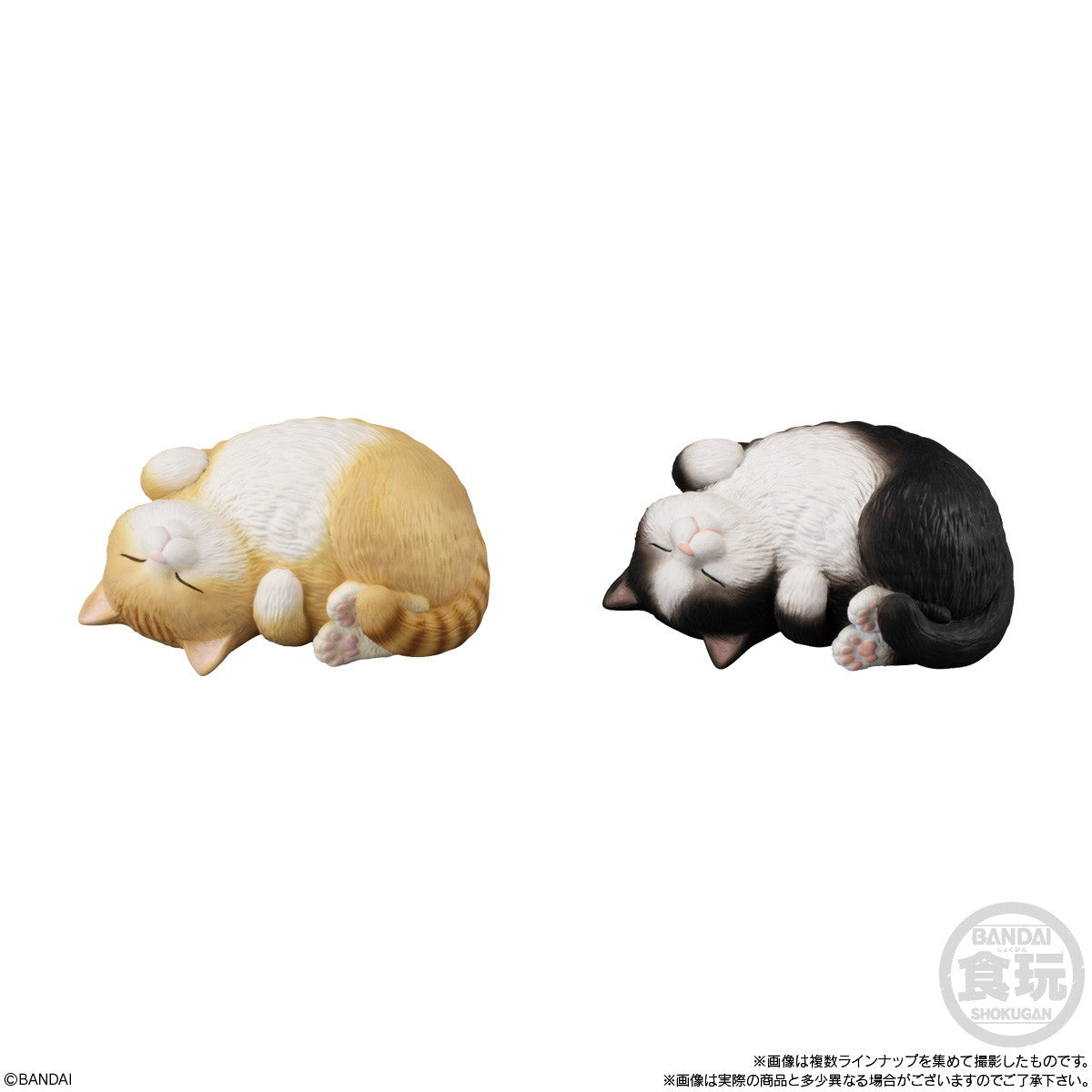 【新品即納】[SFT] (BOX)(食玩) もっちりころりん♪ ねこ ソフビフィギュア(12個) バンダイ(20250217)