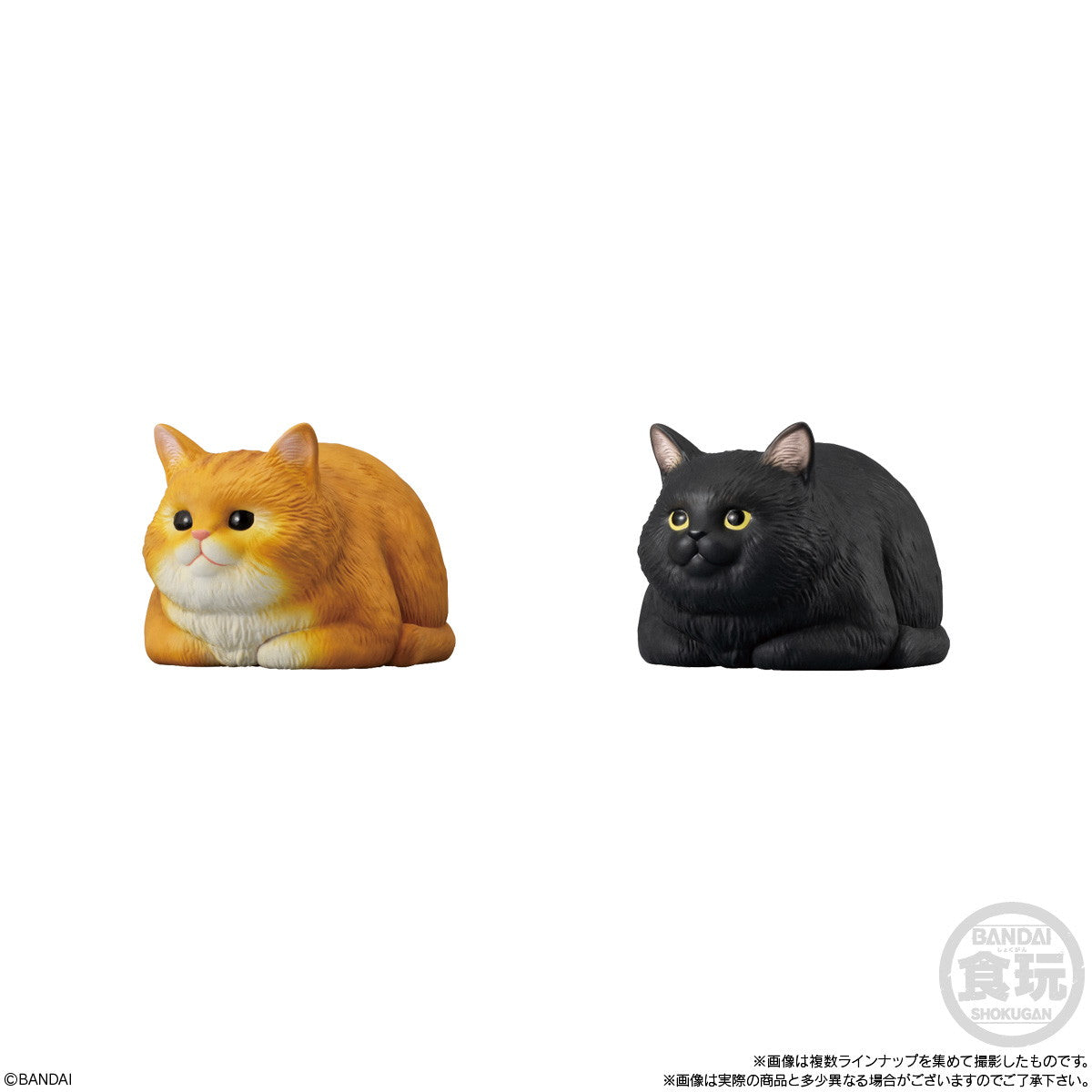 【新品即納】[SFT] (BOX)(食玩) もっちりころりん♪ ねこ ソフビフィギュア(12個) バンダイ(20250217)