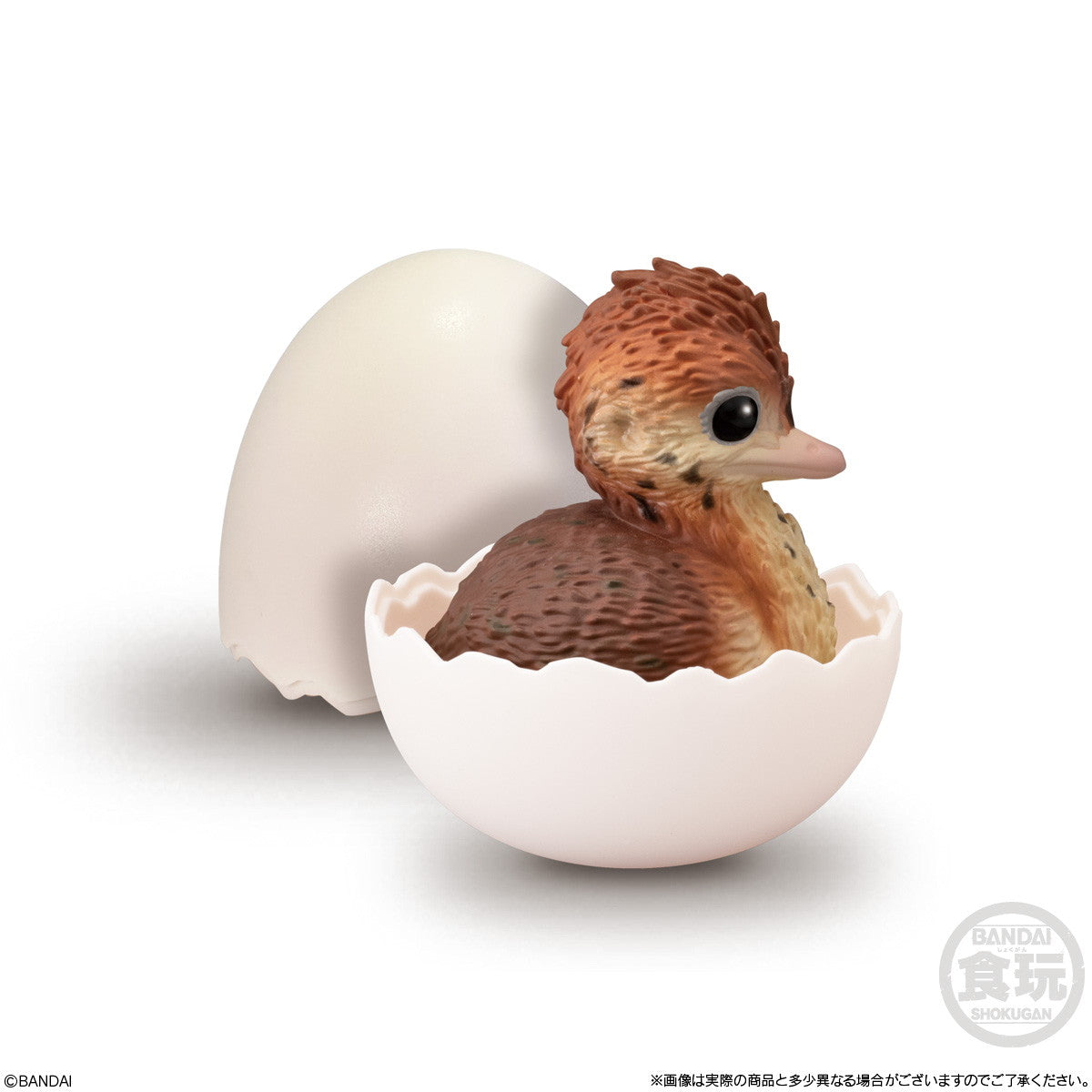 【新品即納】[SFT] (BOX)(食玩) てのりベイビーフレンズ -鳥- ソフビフィギュア(12個) バンダイ(20250414)