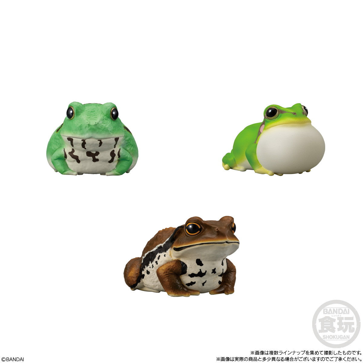 【新品即納】[SFT] (BOX)(食玩) てのりフレンズ12 -爬虫類・両生類- ソフビフィギュア(12個) バンダイ(20251020)