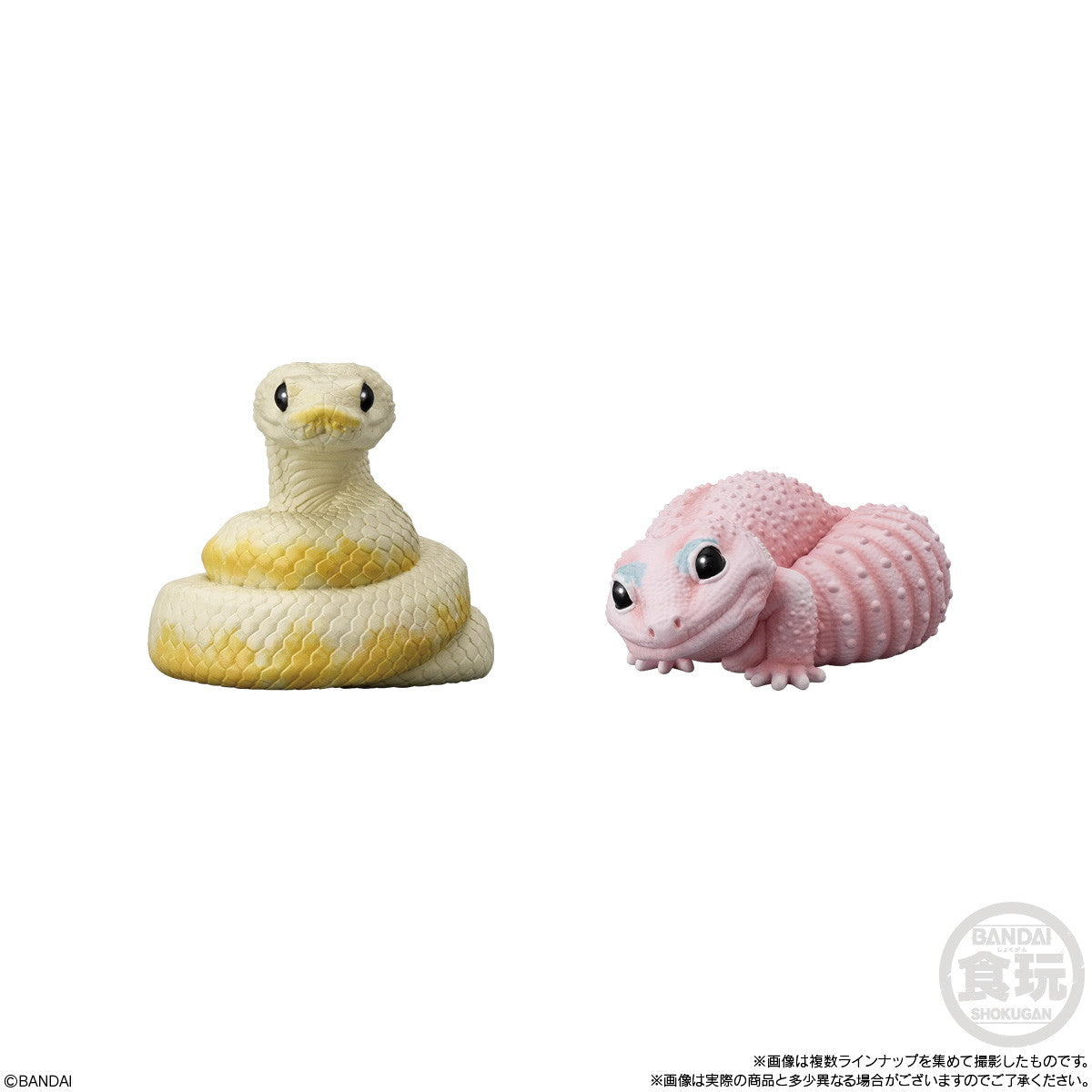 【新品即納】[SFT] (BOX)(食玩) てのりフレンズ12 -爬虫類・両生類- ソフビフィギュア(12個) バンダイ(20251020)