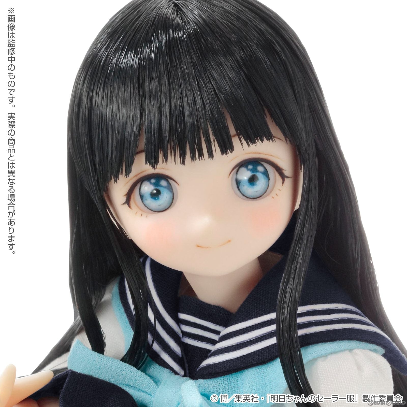 【新品即納】[DOL]ピュアニーモキャラクターシリーズ No.146 明日小路(あけびこみち) 通常版 明日ちゃんのセーラー服 1/6 完成品  ドール(PND146-ASN) アゾン(20230520)