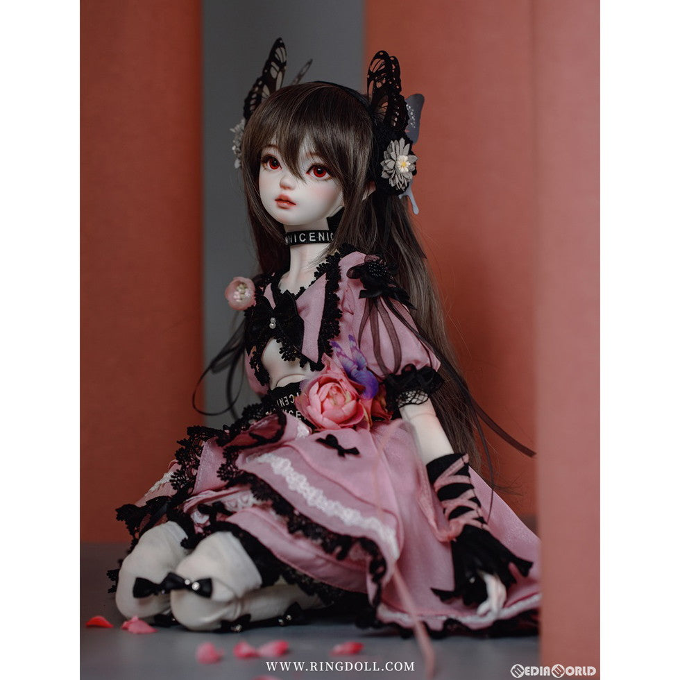 【新品即納】[DOL] 黒砂糖ちゃんSP 45cmボールジョイントドール(BJD) 1/4 完成品 ドール RingDoll(リングドール)(20240314)