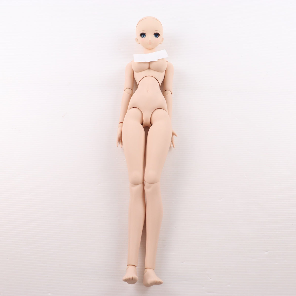【中古即納】[DOL] Dollfie Dream(ドルフィードリーム) DD ルーラー/ジャンヌ・ダルク Fate/Grand Order(フェイト/グランドオーダー) 完成品 ドール ボークスショップ&ホビー天国ウェブ限定 ボークス(20181130)