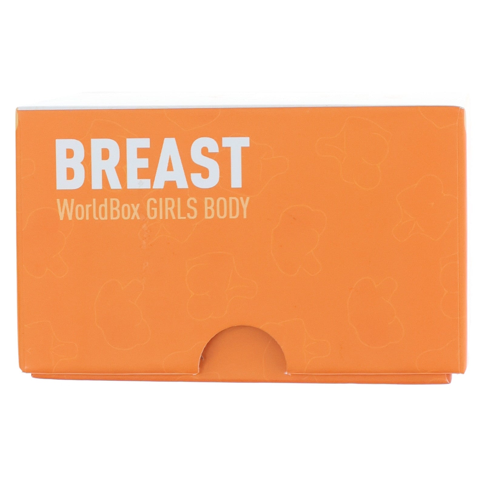 【中古即納】[DOL] Girls Body(ガールボディ) 女性胸パーツ BREAST E-CUP 1/6 ドール用素体 World Box(ワールドボックス)(20231231)