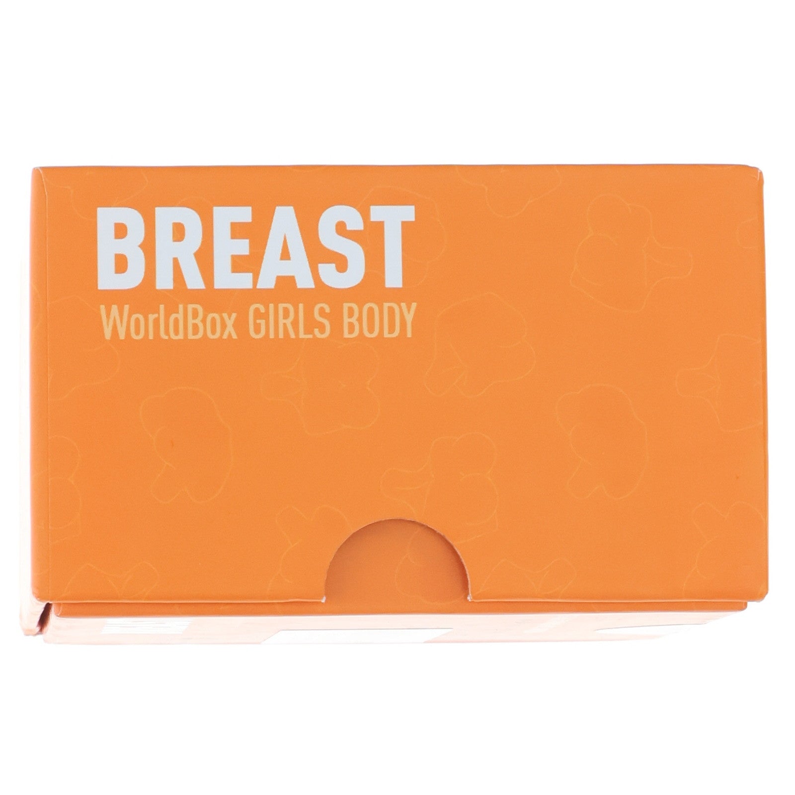 【中古即納】[DOL] Girls Body(ガールボディ) 女性胸パーツ BREAST E-CUP 1/6 ドール用素体 World Box(ワールドボックス)(20231231)