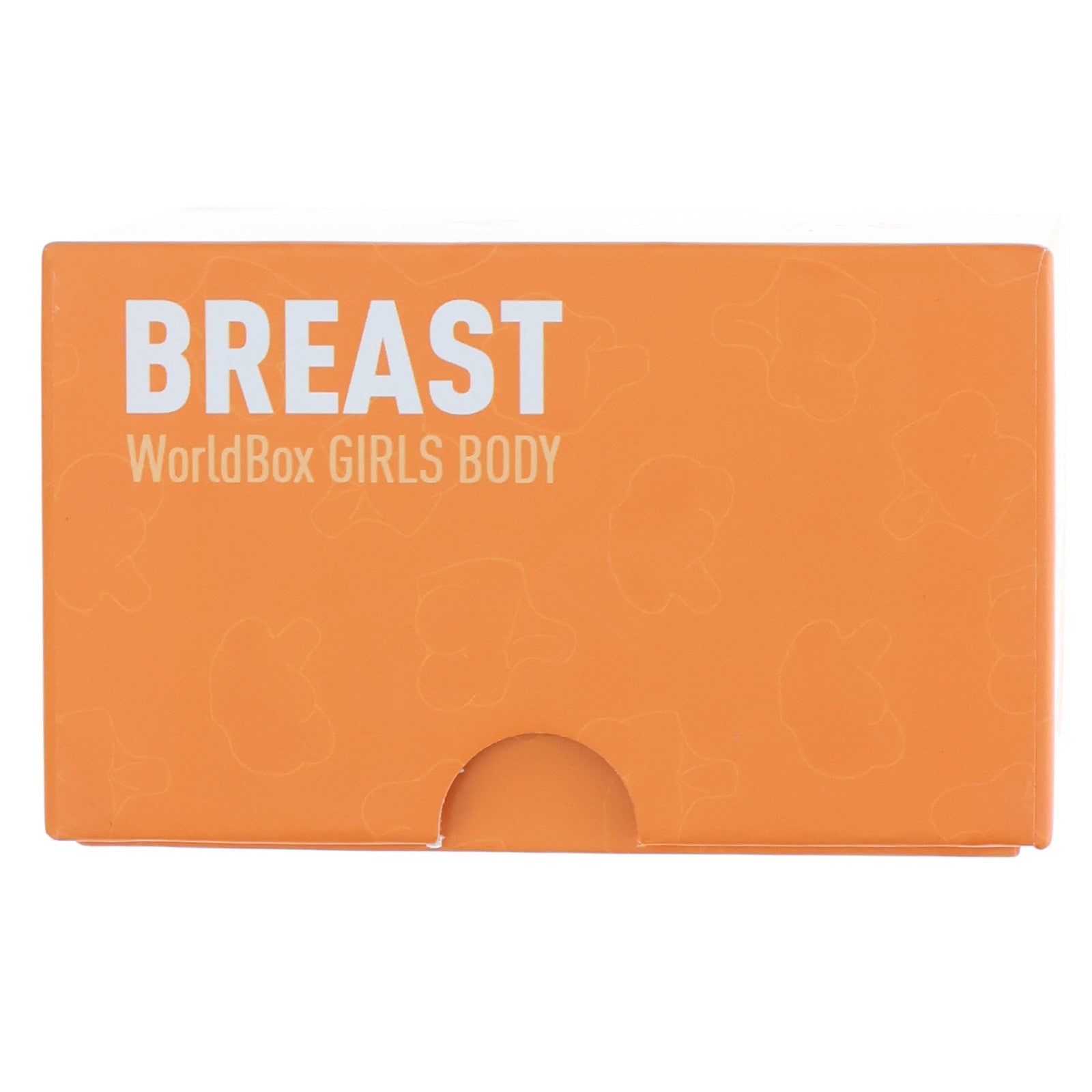 【中古即納】[DOL] Girls Body(ガールボディ) 女性胸パーツ BREAST D-CUP 1/6 ドール用素体 World Box(ワールドボックス)(20231231)