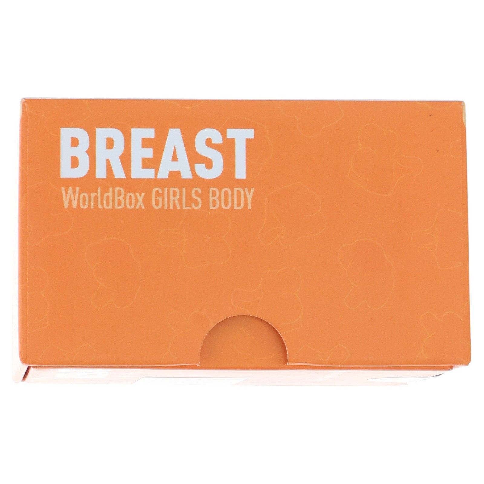 【中古即納】[DOL] Girls Body(ガールボディ) 女性胸パーツ BREAST D-CUP 1/6 ドール用素体 World Box(ワールドボックス)(20231231)