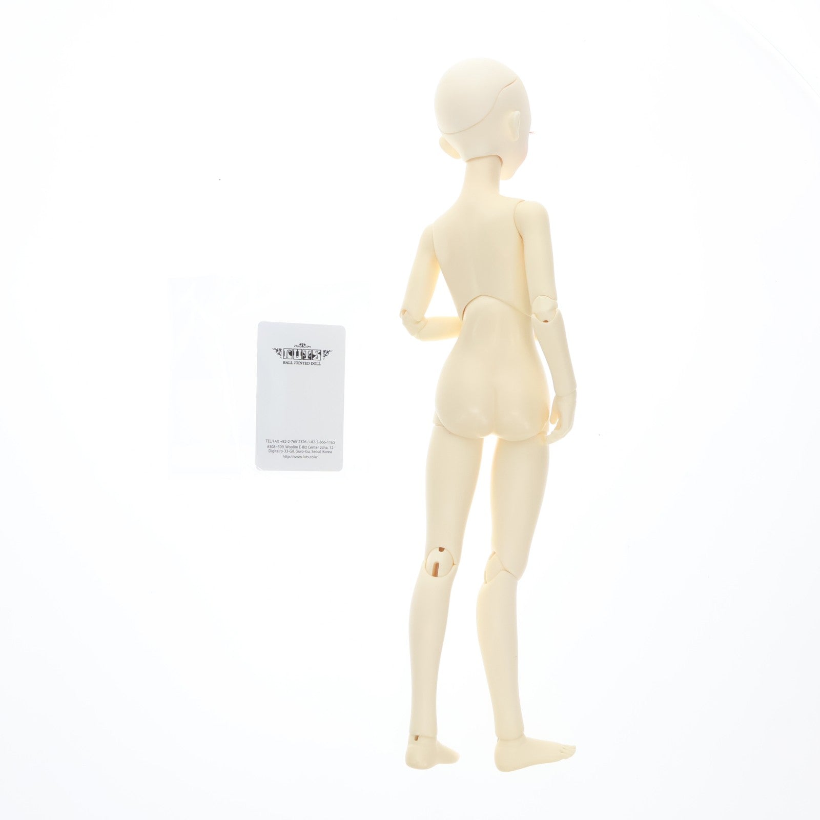 【中古即納】[DOL] KDF-14 Kid Delf Body GIRL 1/4 ボールジョイントドール(BJD) ドール用素体 LUTS(20001231)