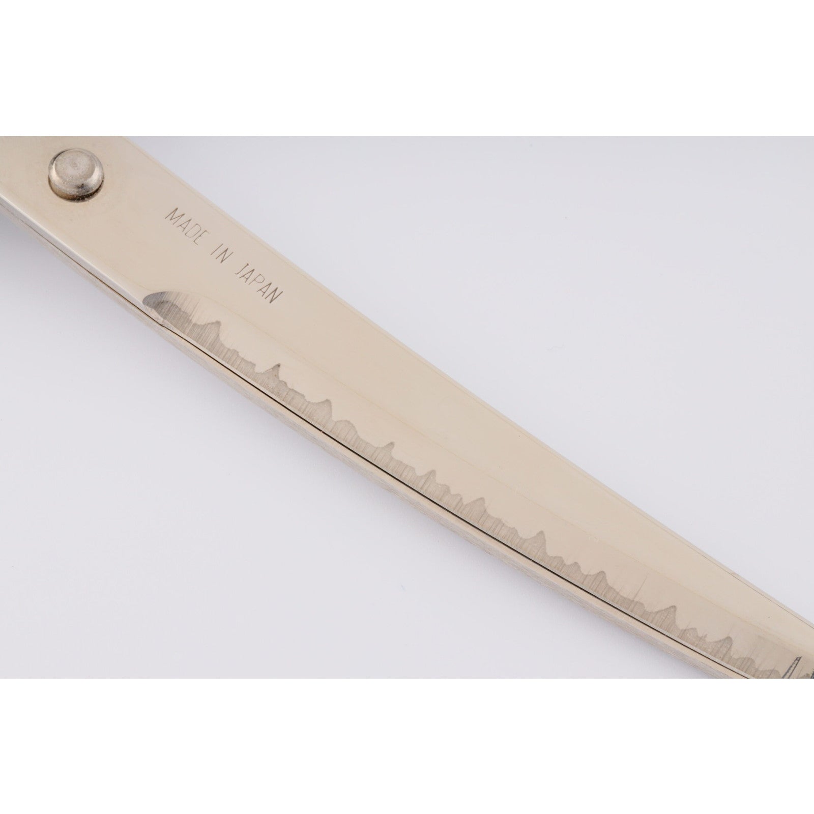 【新品即納】[DIY] (再販) 日本刀はさみ 黒 工具(SW-25B) ニッケン刃物(20240831)