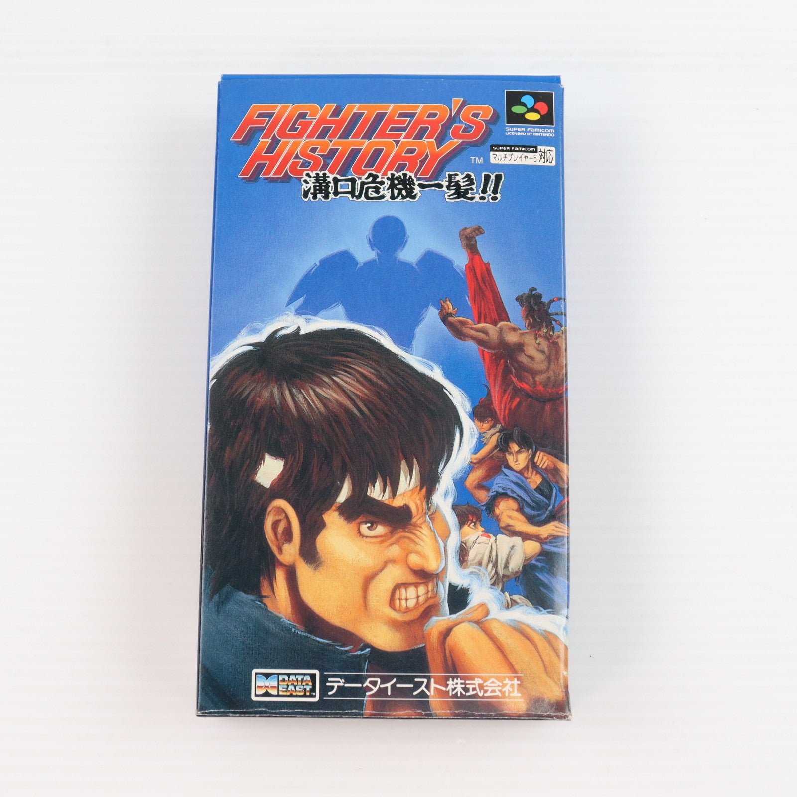 【中古即納】[SFC] ファイターズヒストリー(FIGHTER'S HISTORY) 溝口危機一髪!! データイースト(19950217)