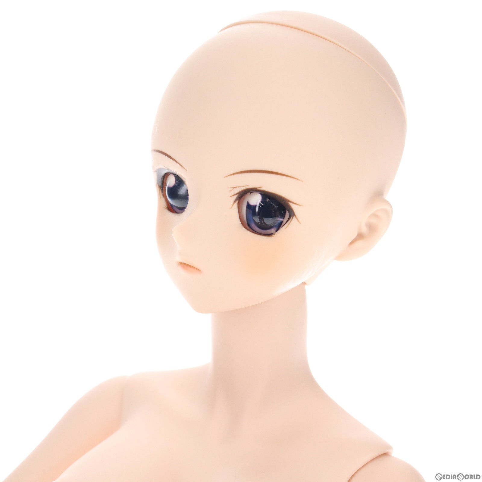 【中古即納】[DOL]Dollfie Dream(ドルフィードリーム) アオイ 2nd Ver. DDスタンダードモデル 完成品 ドール ボークスショップ&ホビー天国ウェブ限定 ボークス(20111022)