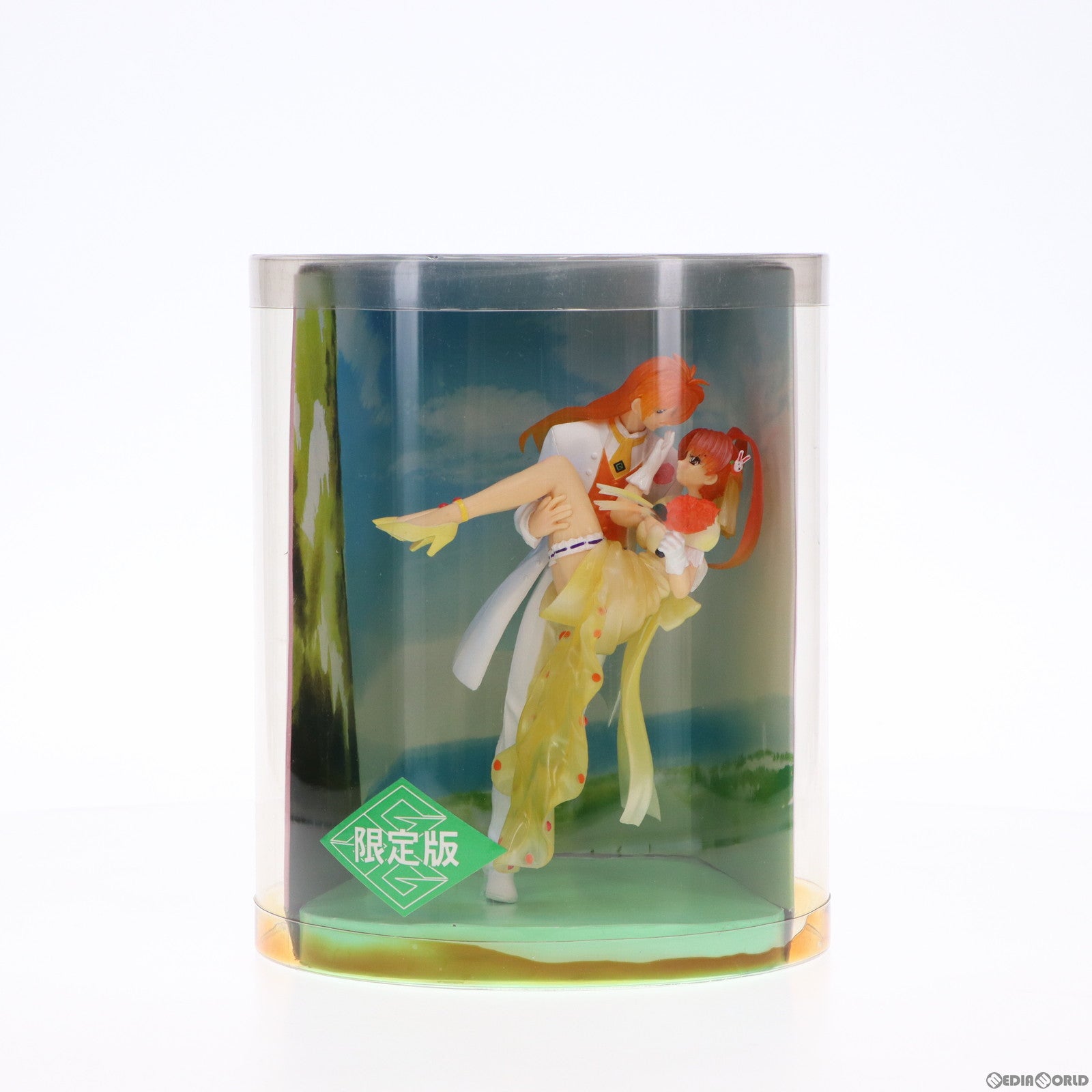 【中古即納】[FIG] 卯都木命 獅子王凱(うつぎみこと ししおうがい) 約束の丘で 限定版 勇者王ガオガイガーFINAL 完成品 フィギュア シーエムズコーポレーション(20031120)