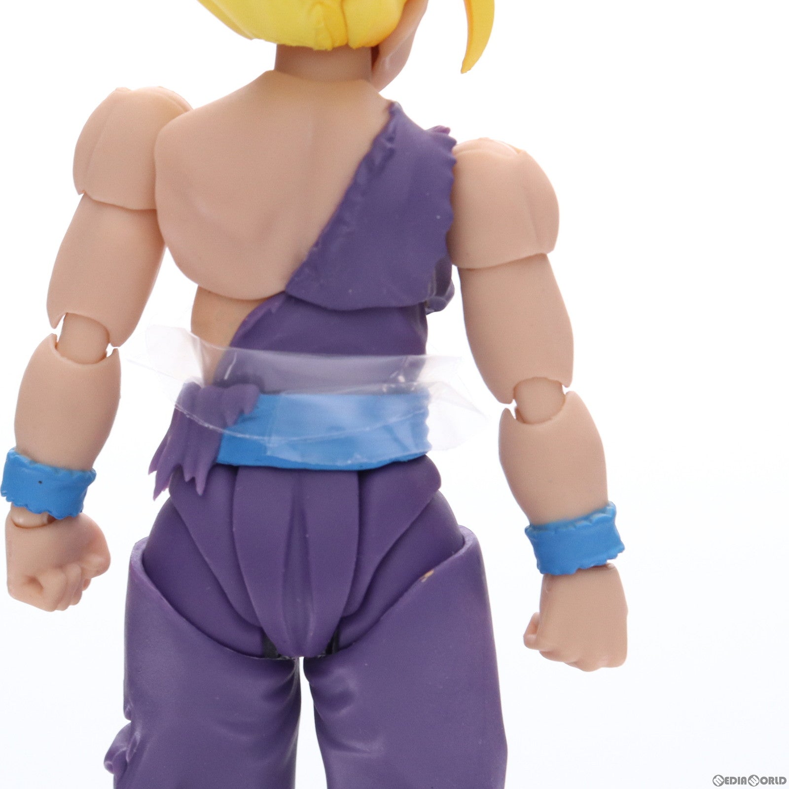 【中古即納】[FIG]魂ウェブ商店限定 S.H.Figuarts(フィギュアーツ) スーパーサイヤ人孫悟飯 ドラゴンボールZ 完成品 可動フィギュア  バンダイ(20170126)