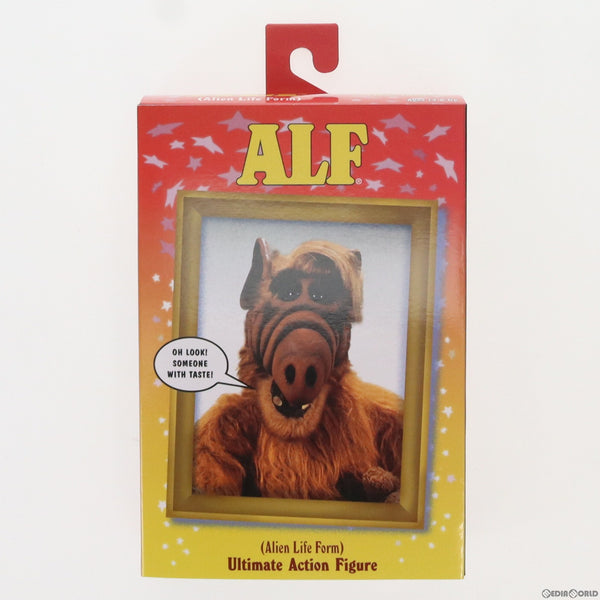 中古即納】[FIG]ゴードン・シャムウェイ アルフ 完成品