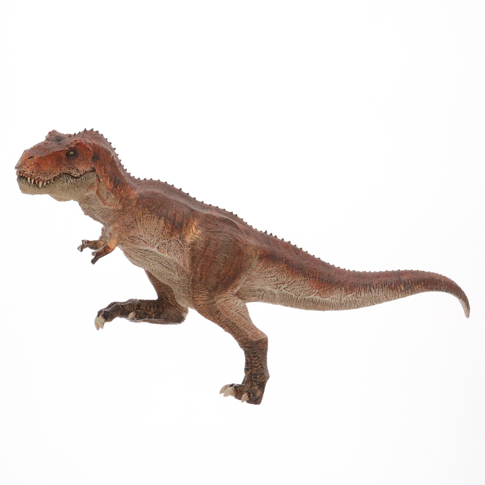 【中古即納】[FIG]KING T-REX Tyrannosaurus Rex-ティラノサウルス・レックス- 1/35 レプリカ 完成品 フィギュア  REBOR(19991231)