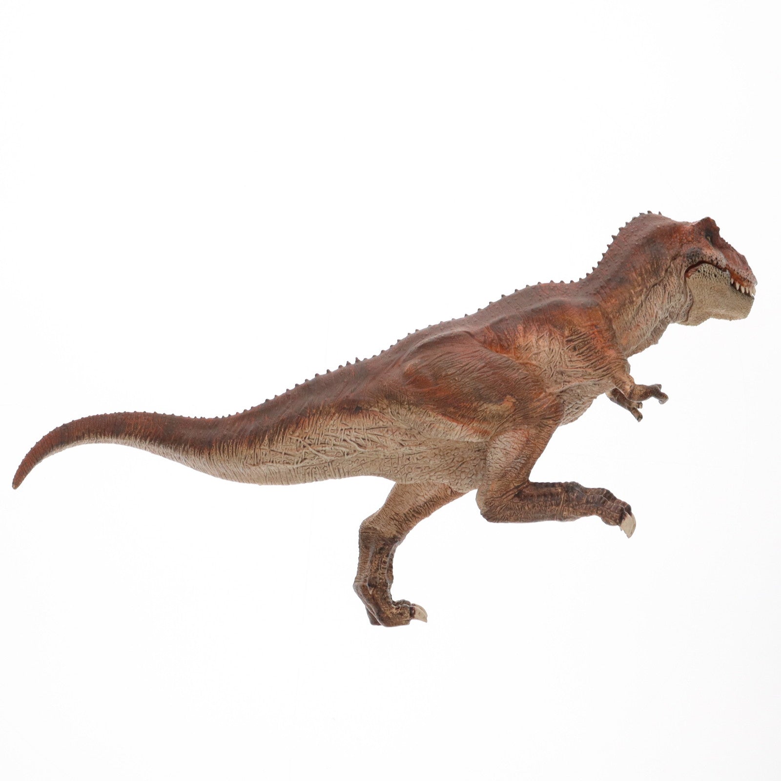 【中古即納】[FIG]KING T-REX Tyrannosaurus Rex-ティラノサウルス・レックス- 1/35 レプリカ 完成品 フィギュア  REBOR(19991231)