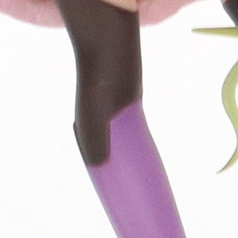 【中古即納】[FIG] (再販) シュヴィ ノーゲーム・ノーライフ ゼロ 1/7 完成品 フィギュア Phat!(ファット・カンパニー) (20230701)